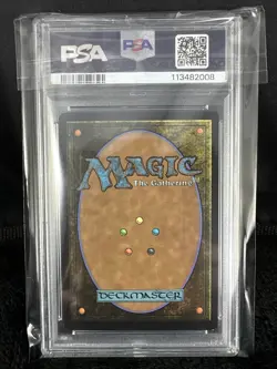 2025 MTG Magic The Gathering SpongeBob Secret Lair Forest Foil #1943 PSA 8! - Image 2
