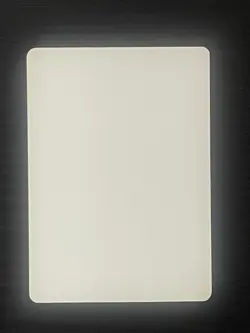 Magic MTG Italian Revised Fog Artist Proof Near Mint - Only 50 Exist! - Image 2