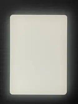 Magic MTG Italian Revised Forest Artist Proof Near Mint - Only 50 Exist! - Image 2