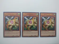 Yu-Gi-Oh - Droll And Lock Bird / Alt Art - RA02-EN006 - Ultra Rare - Image 1