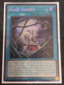 x1 Black Garden - MP25-EN132 - Prismatic Secret Rare - 1st Edition Yu-Gi-Oh! M/N - Image 1