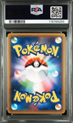 PSA 10 M Salamence EX Promo 257/XY-P Pokemon Japanese Card - Image 2