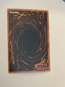 Seiyaryu (Dark Duel Stories) DDS-004 Yu-Gi-Oh! Video Game Promotional Cards... - Image 2
