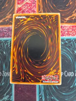 Yu-Gi-Oh! Testudo erat Numen TSHD-EN032 Common Unlimited Near Mint - Image 3