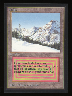 Taiga - MTG International Collectors' Edition (CE/IE) - RareCo - Image 1