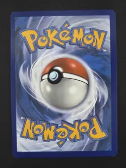 Dondozo 207/198 Illustration Rare Pokemon TCG SV01: Scarlet & Violet Base Set NM - Image 2