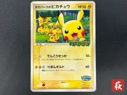 (MP) PokePark's Pikachu 043/PCG-P Promo 2005 Pokemon Card Japanese #2509050009 - Image 1