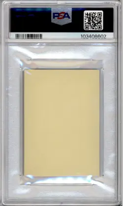 PSA 10 JAPANESE POKEMON KIDS BANETTE #370 ADVANCE 9 2005 POP 1 346B - Image 2