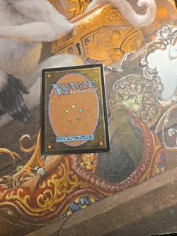 Plains 0888 Foil MTG Secret Lair - Pack Fresh - - Image 2