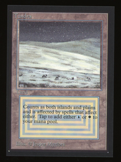 Tundra - MTG International Collectors' Edition (CE/IE) - RareCo - Image 1