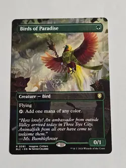 Birds of Paradise (Borderless) Commander: Bloomburrow Regular - Image 1