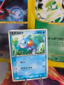 Pokemon Karte Card Hydropi Mudkip ADV Promo Black Star McDonald's japanese NM - Image 1