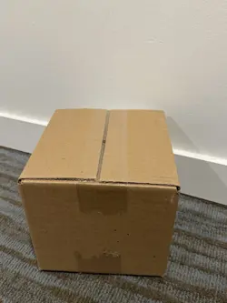 Pokemon TCG Paldean Fates Tech Sticker Collection Display of 12 SEALED CASE - Image 2