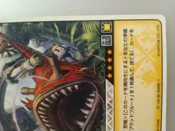 Monster Hunter " Blood Flute " RARE-1 01-49/90 Hunting Card CAPCOM Japan TCG - Image 5