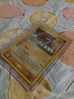 Groudon 14/106 REVERSE STAMPED HOLO Rare Pokemon TCG EX-Emerald NEAR MINT - Image 3