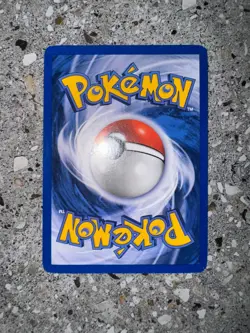 Pokemon TCG Cards Eevee 11 WOTC Black Star Promo Holo - Image 4