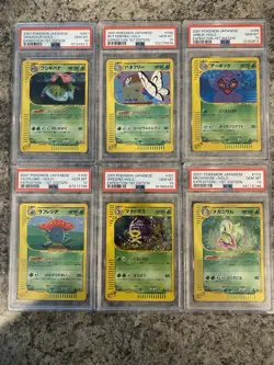 Pokemon Japanese Expedition Holo 1st Edition PSA 10 - Image 1