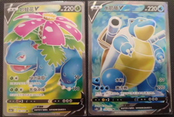 Lot 4 Pokemon Chinese Venusaur/Blastoise VMAX 160+161 HR&129+130 SR Sword Shield - Image 2