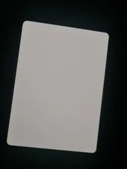 MTG: Spirit of Resistance | extremely RARE Artist Proof card - 1 of only 50 - Image 2
