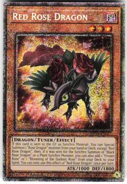 Red Rose Dragon MP25-EN037 Yugioh TCG Starlight Rare NM - Image 1