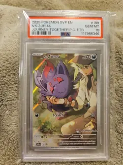 N'S ZORUA - JOURNEY TOGETHER P.C. ETB - 2025 POKEMON SVP EN # 189 GRADED PSA... - Image 1