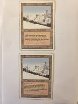 Magic MTG - 2xTaiga - Revised - 3eme Edition - PLAYED - EN - Image 1