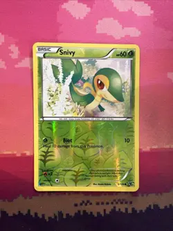 Pokemon Card Snivy Fates Collide Reverse Holo 5/124 Near Mint - Image 1