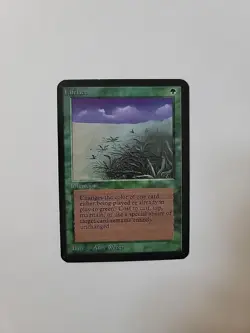 Magic The Gathering Alpha Set Lifelace - See Photos - OC3045 - Image 1