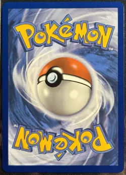 Brock's Scouting 179/159 - Illustration Rare Journey Together Pokemon TCG - NM - Image 2