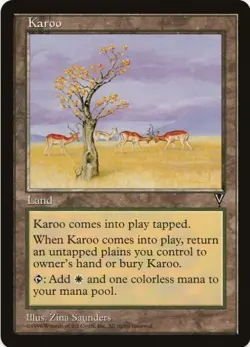 1 x Karoo - Visions - LP - MTG - EOF - Image 1