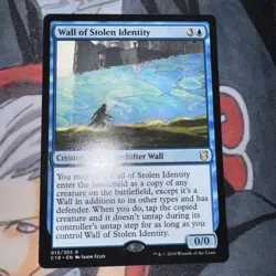 Wall of Stolen Identity-Commander 2019 - Image 1