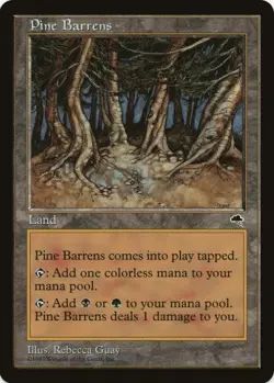 1 x Pine Barrens - Tempest - LP - MTG - EOF - Image 1