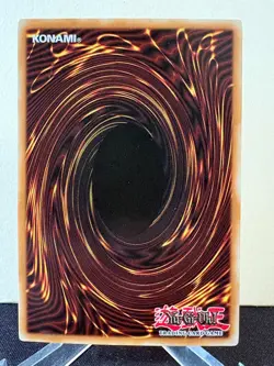Blue Eyes White Dragon GLD5-EN001 - Limited Edition - Yugioh - Image 4