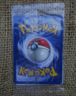 Sealed Dragonite Pokemon The First Movie WB Promo Black Star 1999 Card WOTC New - Image 2