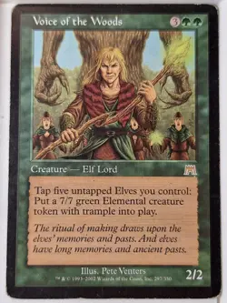 Voice of the Woods - (MP) Onslaught - Magic the Gathering MTG - Image 1