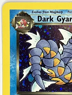 Dark Gyarados LP Unlimited Team Rocket 8/82 Pokemon TCG Holo - Image 3