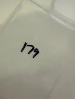 Magic The Gathering: Beta Wall of Brambles MTG Beta - Image 3