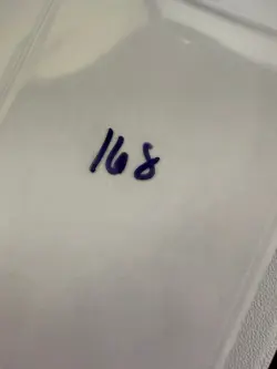 Magic The Gathering: Beta Wall of Ice MTG Beta - Image 3