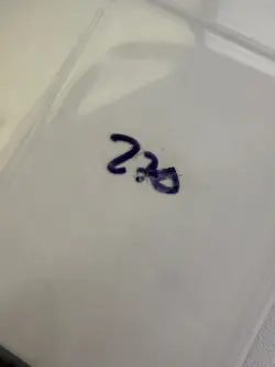 Magic the Gathering: Beta Gray Ogre MTG Beta - Image 3