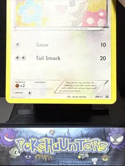 Pokemon Card Minccino BW13 Black & White Black Star Promo Cosmo Holo Near Mint - Image 3