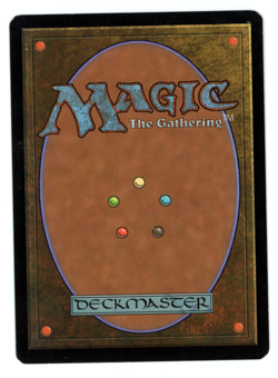 Yavimaya Coast -- MTG (SP Quality) - Apocalypse - See scans!! - Image 2