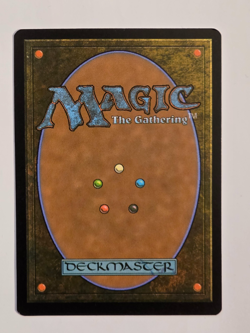 Sacred Foundry - R0256 Foil - Edge of Eternities - Magic the Gathering - Image 2