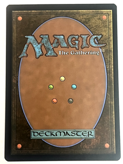 Vivi Ornitier, Magic The Gathering, Final Fantasy, Regular, #248- NM - Image 2