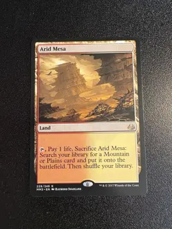 Arid Mesa Regular - Image 1