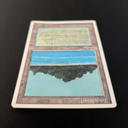 MTG \>> Tropical Island (GD) <<// Foreign White Bordered - 341 Trading - Magic - Image 4