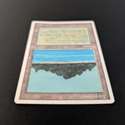 MTG \>> Tropical Island (EX) <<// Foreign White Bordered - 341 Trading - Magic - Image 4