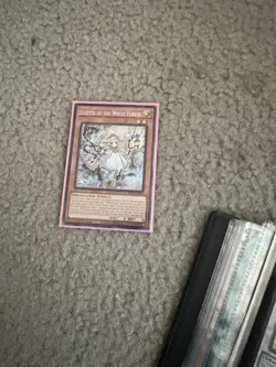 YUGIOH! Elzette of the White Forest INFO-EN014 Secret Rare 1st Edition NM - Image 1
