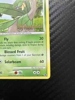 Pokemon Tropius Staff Prerelease Stamp Promo Rising Rivals Set 52/111 Card - Image 5