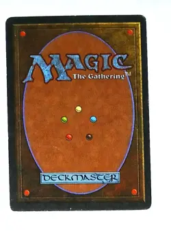 Magic the Gathering * MTG * 1 x Savannah Lions * Revised * - Image 2