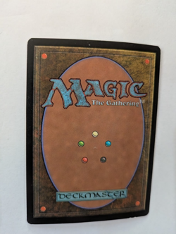 Chinese Loyal Retainers Portal 3K MTG Exc Free shipping with tracking - Image 2